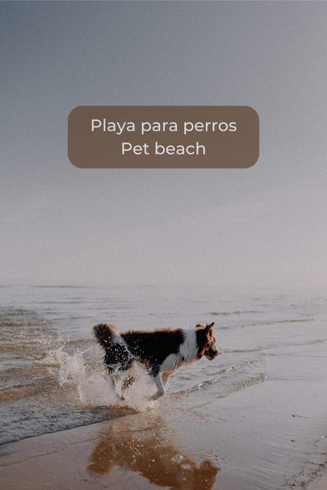 CotilloKiwi Smoothie - En La Playa, Doble Terraza, Cocina Completa, Dos Camas Y Wifi公寓 外观 照片